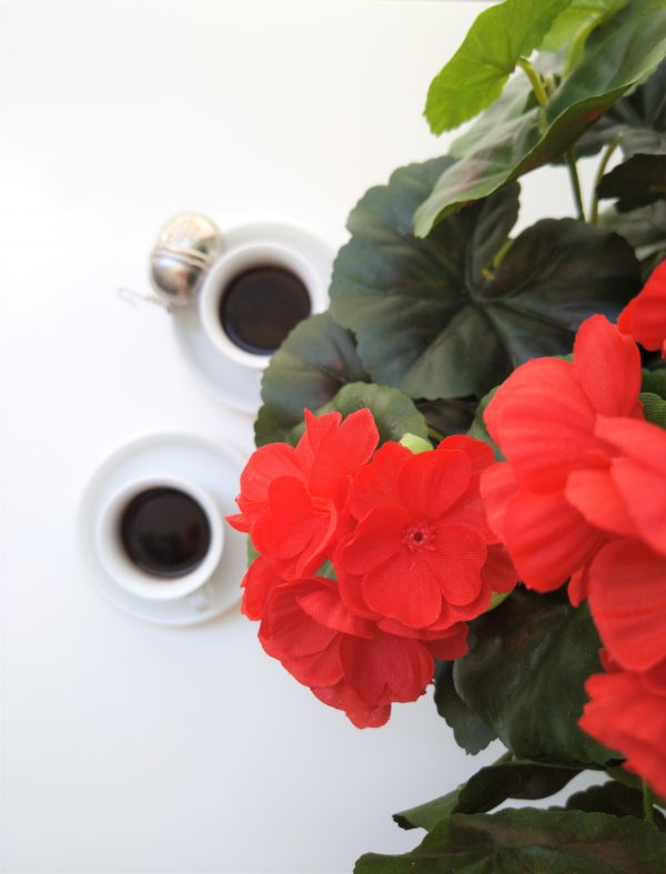 Geranios Artificiales rojos junto a un par de tazas de café con protección rayos uva
