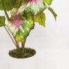 detalle de la hoja de la begonia artificial de látex de tacto natural en maceta