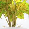 detalle de la hoja de la begonia artificial de látex de tacto natural en maceta